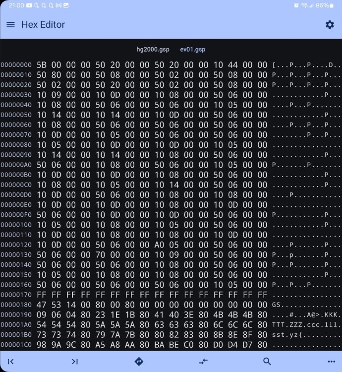 Screenshot_20241008_210004_Hex Editor.jpg