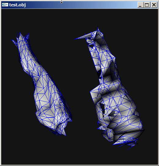 mesh_viewer_HppyuAwKzm.png