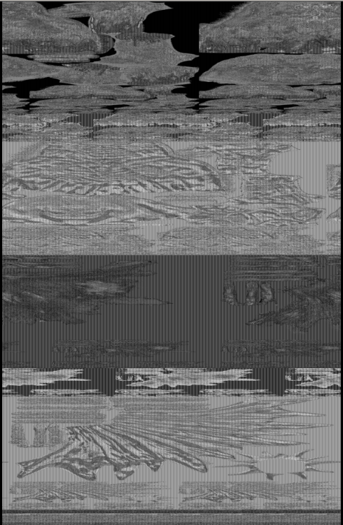 xsSSbB0XhD.png